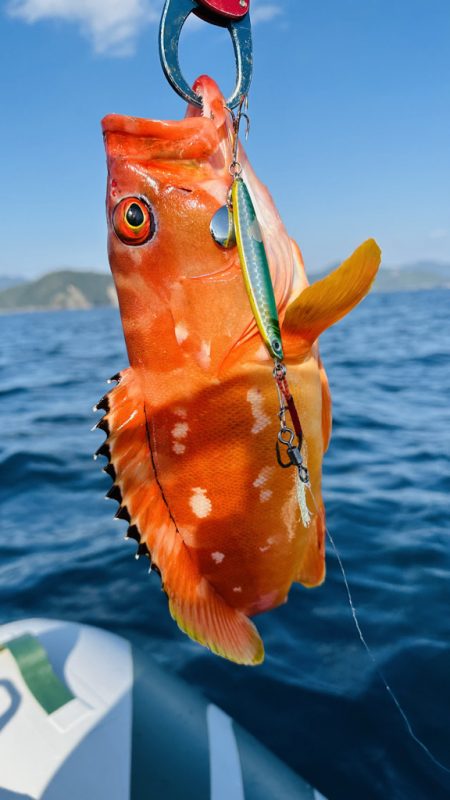 久しぶりの紀北ボート釣行