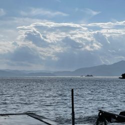 数釣りできました。