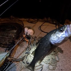 旅先ちょこっとライトゲーム