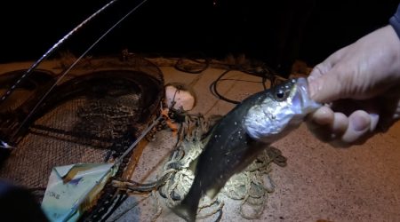 旅先ちょこっとライトゲーム