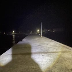 久しぶりの遠投　サビキ