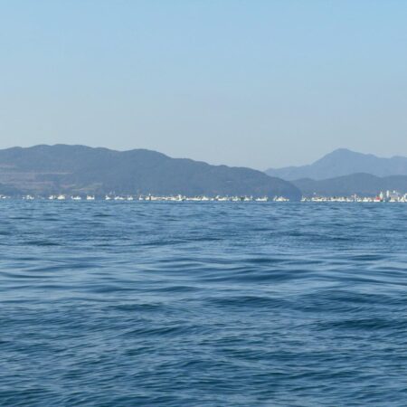 初シロアマGET！