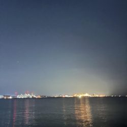 そろそろハマちゃんが釣りたい・・・