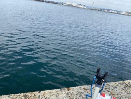 シロギスタ:カワハギよ何処へ