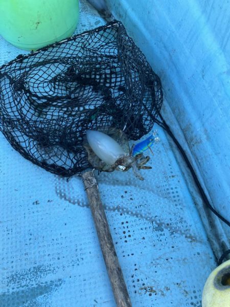 ボートエギングなど