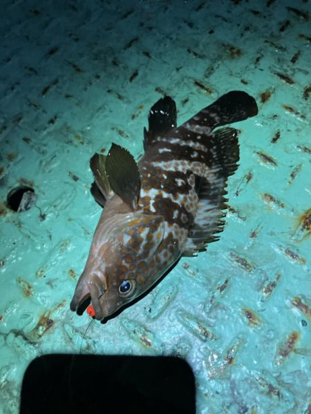 なんとか出ました