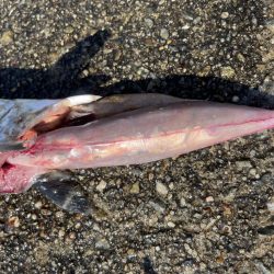 初経験と感謝の日