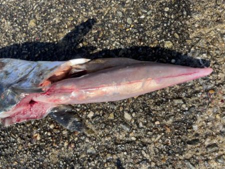 初経験と感謝の日