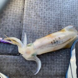 来たーキロアップ