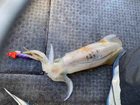 来たーキロアップ