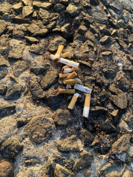 今年一番小さい。