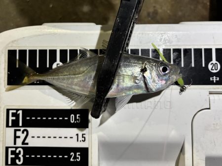 久しぶりのアジング