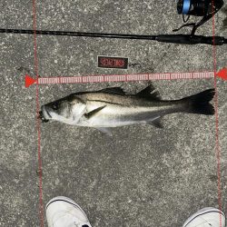 宮川氏！ネクストスピンで釣りました！