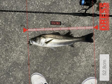 宮川氏！ネクストスピンで釣りました！