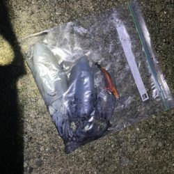 雨上がりのエギング