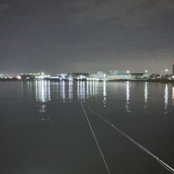 コノシロの大合唱にお手上げだったが!