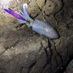 久しぶりのジェット噴射