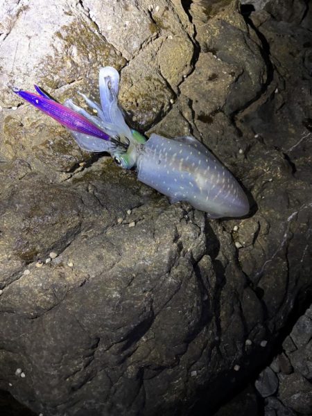 久しぶりのジェット噴射