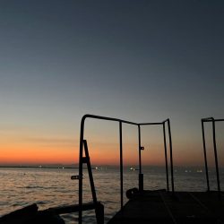 神戸沖キャスティング