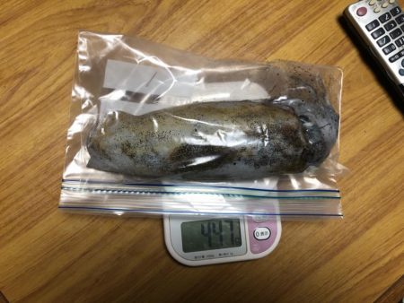 オールナイト釣行