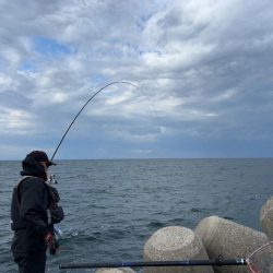 魚津港 フカセ釣り