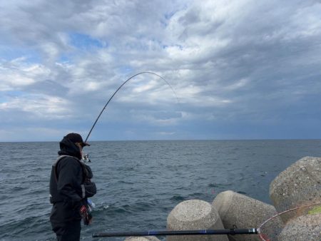 魚津港 フカセ釣り