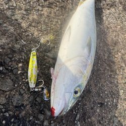 ショアジギング！