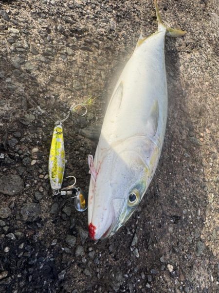 ショアジギング！