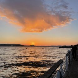 三連休最終サゴシ狩り