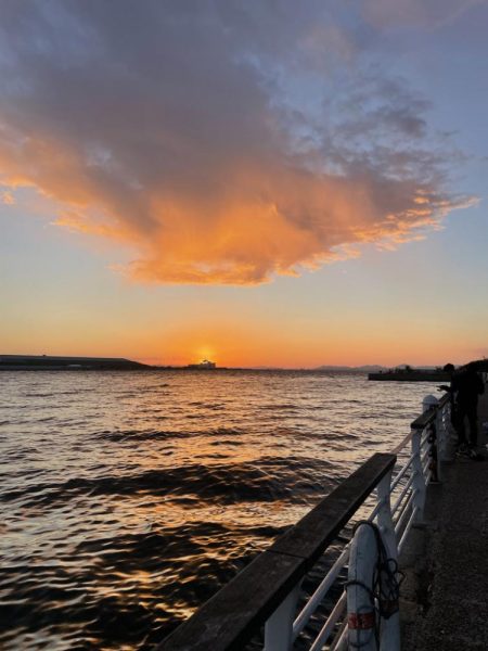 三連休最終サゴシ狩り