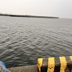 信じて投げ続ける