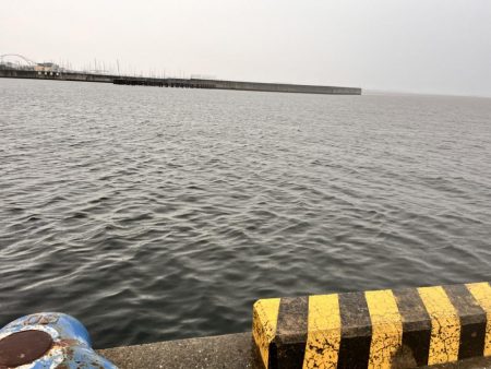 信じて投げ続ける