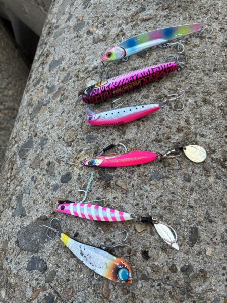 渋いもなんとか1匹