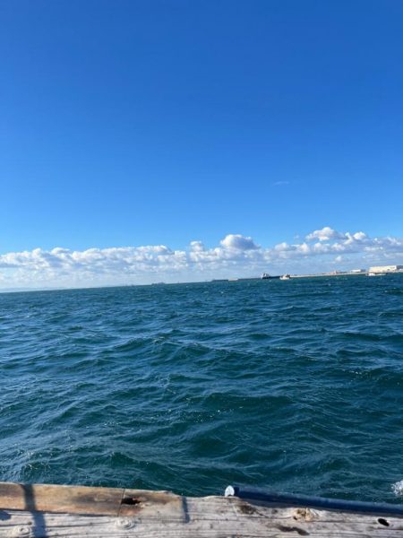 サゴシぼちぼち