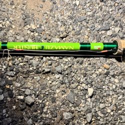 久々のナマズ釣り