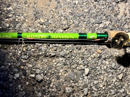 久々のナマズ釣り