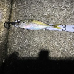 フロートアジング