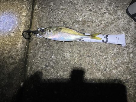 フロートアジング