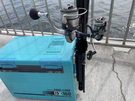 久しぶりに、、