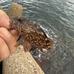 デイアジングも空振り