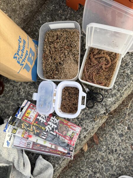 乗っ込みカレイ狙い