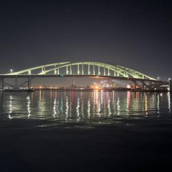 アジングしてきました