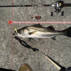 激シブでもボトルは何とかなる！