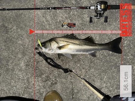 激シブでもボトルは何とかなる！