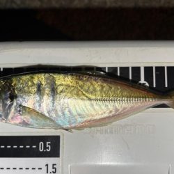 アドレナリン出た〜！