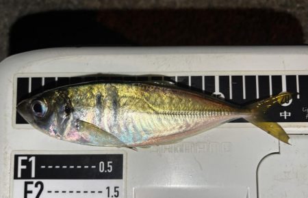 アドレナリン出た〜！