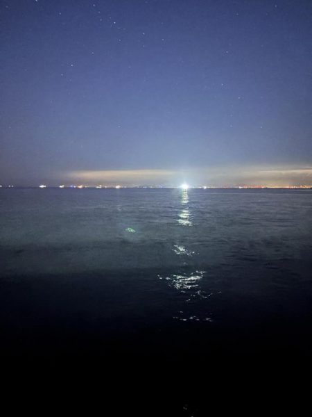 青物シーズン12