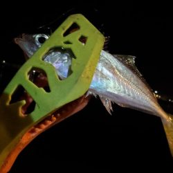 久しぶりの釣行