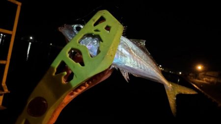 久しぶりの釣行