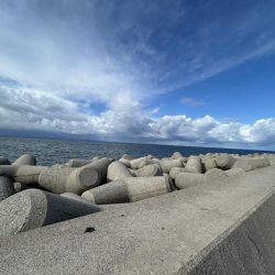 魚津港 フカセ釣り